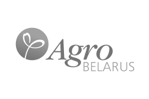 Беларусь планирует нарастить экспорт продовольствия до $8 млрд к 2025 году
