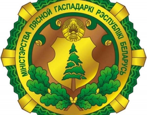 16 сентября – День работников леса 