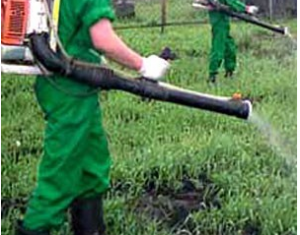 Контрафактные гербициды поставлялись в Беларусь на миллиарды рублей