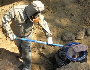 Ликвидируют Петриковский и Слонимский могильники ядохимикатов