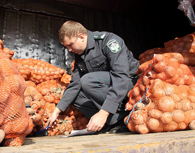 ЕЭК разработала порядок взаимодействия ветеринарных органов ЕАЭС при введении ограничительных мер