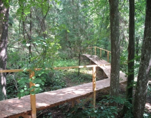 Экотропы в Беларуси планируют привести к единому стилю