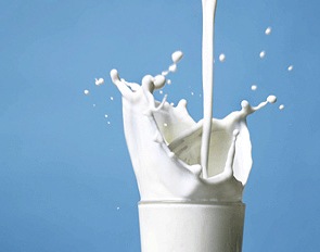 Беларусь стала крупным импортером молока из ЕС