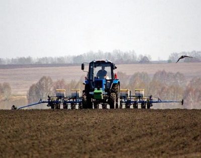 Пять областей Беларуси завершат сев ранних яровых зерновых и зернобобовых в течение двух-трех дней
