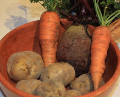 В Беларуси за год больше всего подорожала картошка и свекла