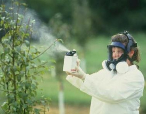 Доля биологических методов защиты растений от болезней и вредителей лишь около 2%