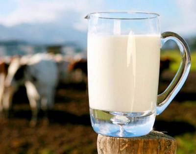 Среднесуточный удой в Беларуси достиг 14,29 кг