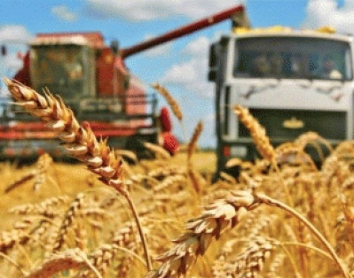 Прокуратура Минской области констатирует бесхозяйственность в ряде предприятий АПК в период уборочной кампании