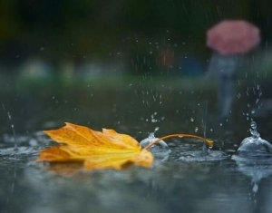 Существенное похолодание на территории Беларуси обещают синоптики в ближайшие дни