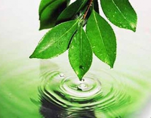 Современные технологии по охране окружающей среды обсудят в Минске