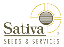 Sativa