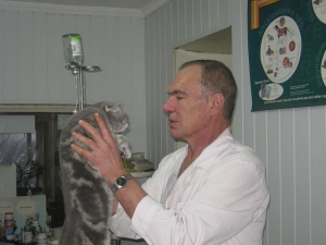 Белорусские врачи-ветеринары соответствуют требованиям Евросоюза 