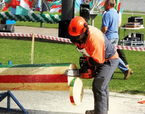 Около 2 тыс. человек будут болеть за Белорусских лесорубов