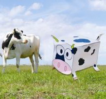 Более половины служебных подлогов в Беларуси, связанных с искажением государственной статотчетности, выявлено в АПК