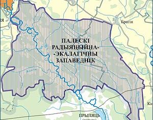 Введен запрет на осуществление хозяйственной деятельности вокруг Полесского заповедника