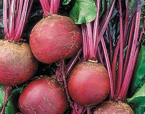 Установлены надбавки к фиксированным ценам на сахарную свеклу 