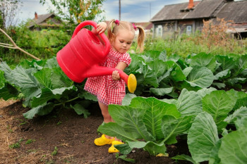 Латвия оказалась в лидерах ЕС по площадям органического земледелия