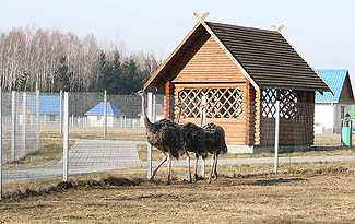 Сафари-парк откроется в центре экологического туризма "Станьково" в Дзержинском районе