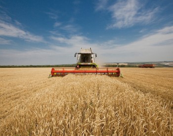 В Беларуси намолочено 8,8 млн т зерна