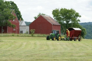 Фермеры чернобыльских регионов представили опыт создания кооперативов