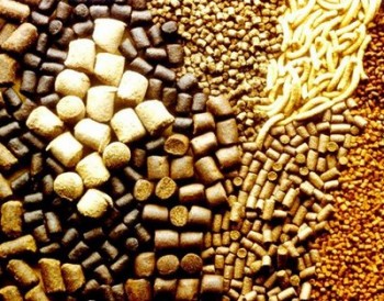 Беларусь нарастит закупки украинского шрота