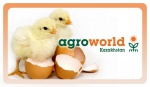 AgroWorld Казахстан 2012                                                 