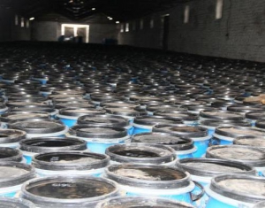 Поляки не пускают белорусские ядохимикаты в Германию