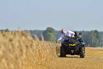 Аграрии Беларуси намерены получить не менее 8,5 млн т зерна в этом году 