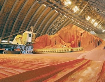 В Беларуси увеличат ставку вывозной таможенной пошлины на калийные удобрения до 55 евро за тонну