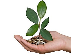 Минлесхоз Беларуси реализует инвестпроект на Br9,8 млрд.