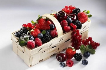 Ассоциация «Белсадпитомник» планирует собрать 86 тыс. тонн плодово-ягодной продукции