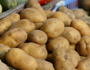 Ззавершается закладка овощей и фруктов в стабфонды