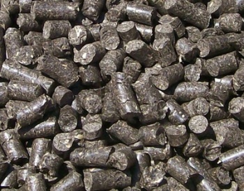 В Могилеве наладят производство биоугля