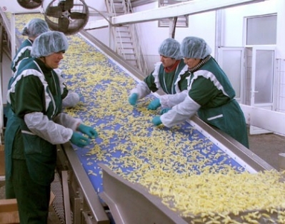 Завод по глубокой переработке картофеля может появиться в Татарстане