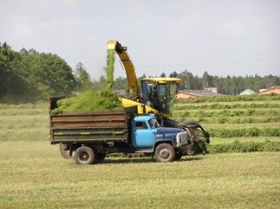 Президент требует соблюдения железной дисциплины при заготовке кормов