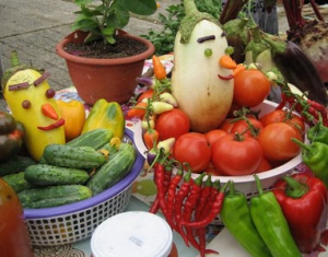 Сезон сельхозярмарок откроется в Минске 15 сентября