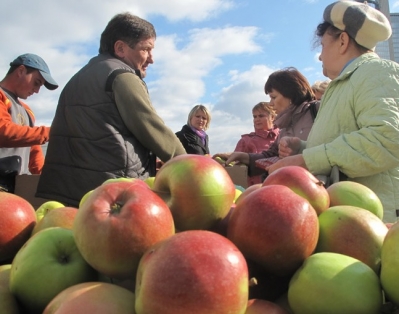  В Минске с 15 сентября у многоэтажек начинается торговля овощами