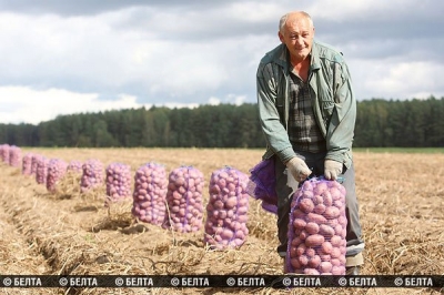 Белоруссия останется без колхозов