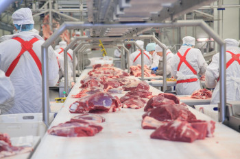 Беларусь увеличила экспорт мяса и мясопродуктов за девять месяцев на 11% 