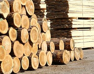 Организациям "Беллесбумпрома" возместят часть процентов за пользование кредитами