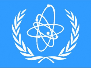 Рассматривать Белорусскую АЭС как источник загрязнения территории некорректно - МАГАТЭ