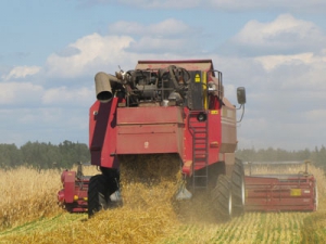 План продажи зерна выполнили 