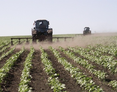 Азербайджан получит $120 млн на АПК