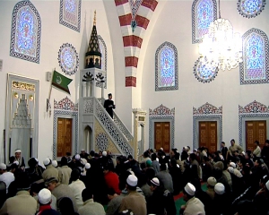 Мясо 35 жертвенных быков раздадут белорусским мусульманам на Курбан-Байрам