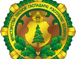 Минлесхоз объявил открытый конкурсный отбор инновационных проектов