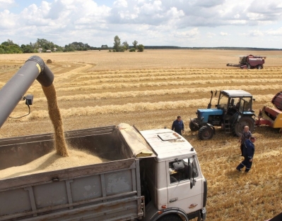В Гомельской области приступили к уборке зерновых