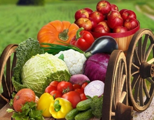  Сельскохозяйственные ярмарки будут проходить в городах Могилевской области