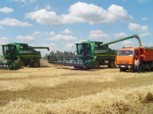 Все области, кроме Могилевской, приступили к уборке хлеба