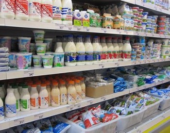 Беларусь за год увеличила объем поставок молокопродуктов в РФ почти на 1 млн т - Богданов