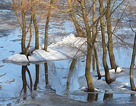 Уровень воды при паводке в Гродненской области выше прошлогоднего 